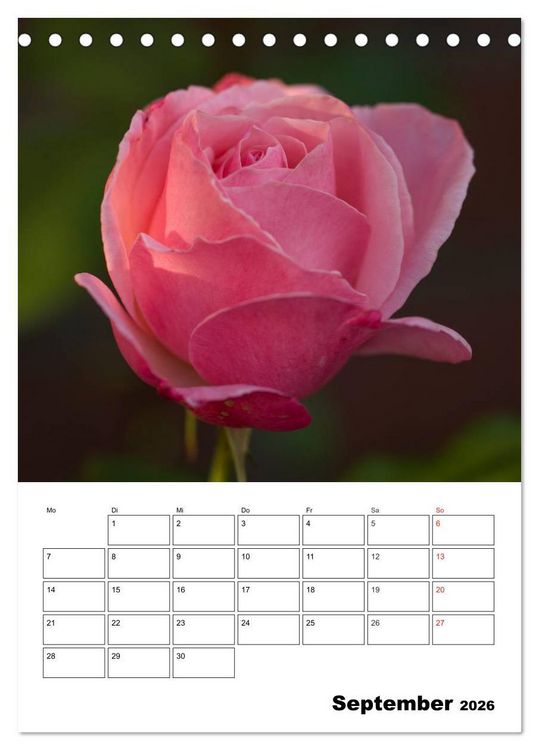Produktbild: Zauberhafte Rosen (Tischkalender 2026 DIN A5 hoch), CALVENDO Monatskalender