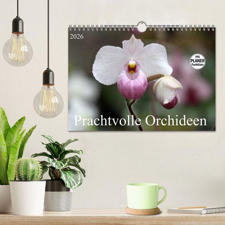 Produktbild: Prachtvolle Orchideen (Wandkalender 2026 DIN A4 quer), CALVENDO Monatskalender