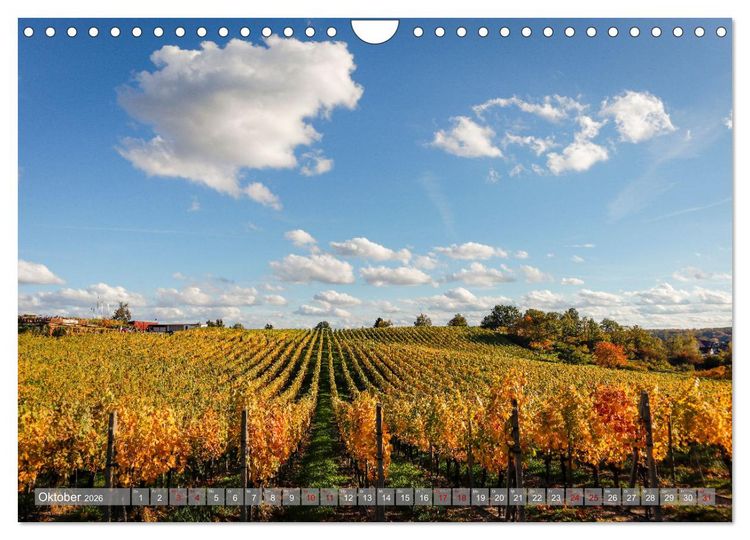 Produktbild: Werder - ein Kleinod an der Havel (Wandkalender 2026 DIN A4 quer), CALVENDO Monatskalender