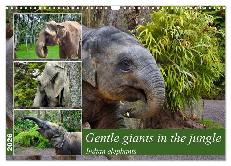 Produktbild: Gentle giants in the jungle (Wall Calendar 2026 DIN A3 landscape), CALVENDO 12 Month Wall Calendar