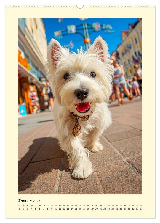 Produktbild: S&uuml;&szlig;er Wuschelkopf. West Highland White Terrier Momente (Wandkalender 2027 DIN A2 hoch), CALVENDO Monatskalender