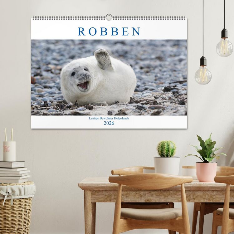 Produktbild: Robben - Lustige Bewohner Helgolands (Wandkalender 2026 DIN A2 quer), CALVENDO Monatskalender