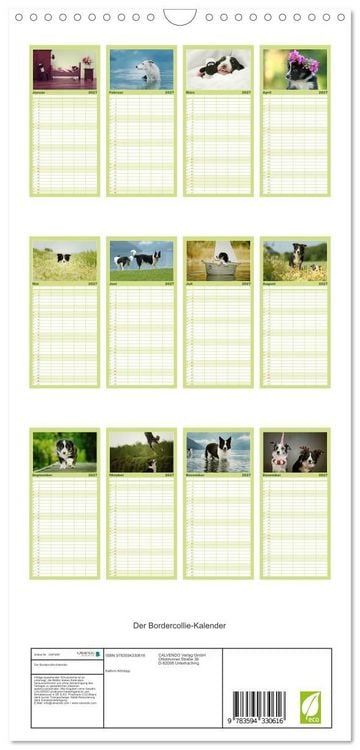 Produktbild: Familienplaner 2027 - Der Bordercollie-Kalender mit 5 Spalten (Wandkalender, 21 x 45 cm) CALVENDO