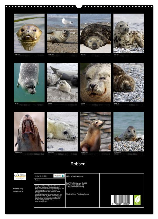 Produktbild: Robben (hochwertiger Premium Wandkalender 2026 DIN A2 hoch), Kunstdruck in Hochglanz
