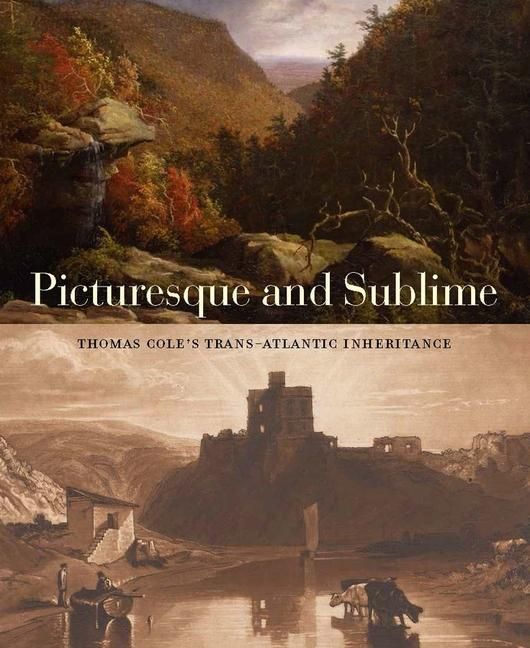 Produktbild: Picturesque and Sublime