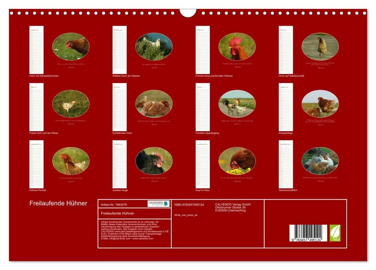 Produktbild: Freilaufende H&uuml;hner (Wandkalender 2026 DIN A3 quer), CALVENDO Monatskalender