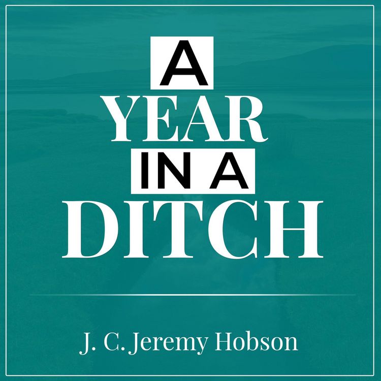 Produktbild: A Year In A Ditch