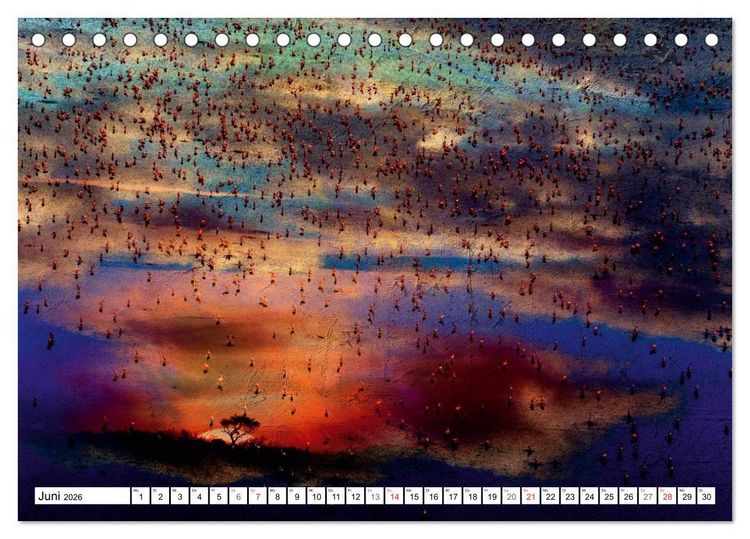 Produktbild: Emotionale Momente: African Dreams (Tischkalender 2026 DIN A5 quer), CALVENDO Monatskalender