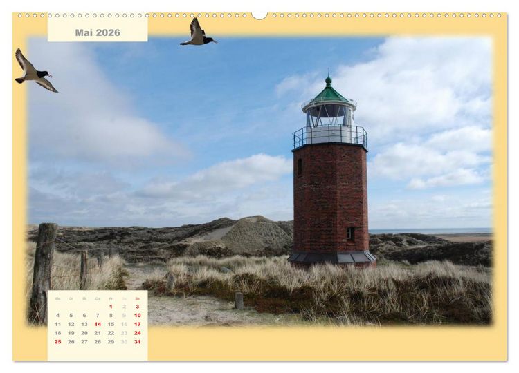 Produktbild: Leuchtt&uuml;rme Schleswig-Holsteins (Wandkalender 2026 DIN A2 quer), CALVENDO Monatskalender