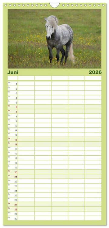 Produktbild: Familienplaner 2026 - Charakterk&ouml;pfe Islandpferde mit 5 Spalten (Wandkalender, 21 x 45 cm) CALVENDO