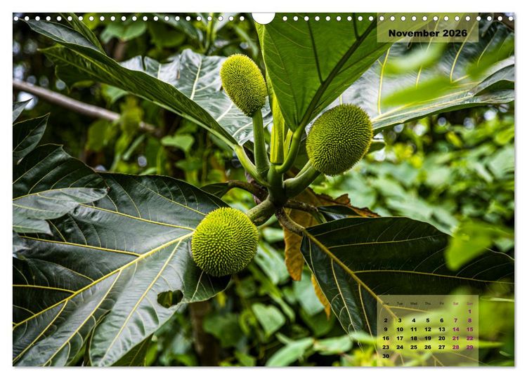 Produktbild: Fruits of Grenada (Wall Calendar 2026 DIN A3 landscape), CALVENDO 12 Month Wall Calendar