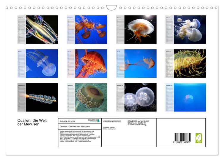 Produktbild: Quallen. Die Welt der Medusen (Wandkalender 2026 DIN A3 quer), CALVENDO Monatskalender