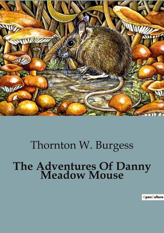 Produktbild: The Adventures Of Danny Meadow Mouse