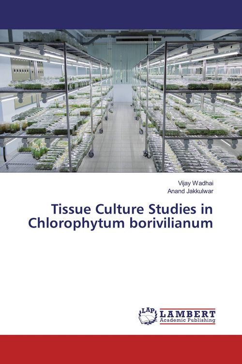Produktbild: Tissue Culture Studies in Chlorophytum borivilianum