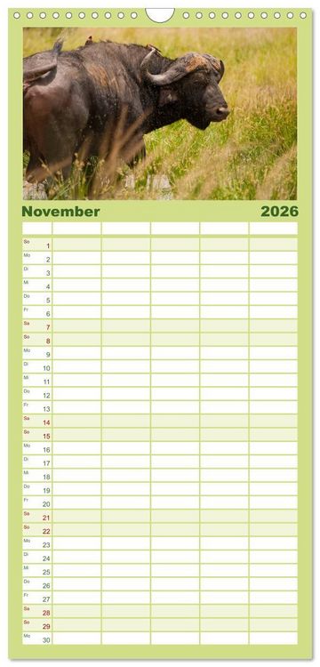 Produktbild: Familienplaner 2026 - Tierische Gl&uuml;cksmomente mit 5 Spalten (Wandkalender, 21 x 45 cm) CALVENDO