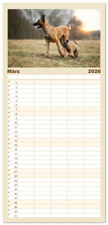 Produktbild: Familienplaner 2026 - Mit dem Malinois durch das Jahr mit 5 Spalten (Wandkalender, 21 x 45 cm) CALVENDO