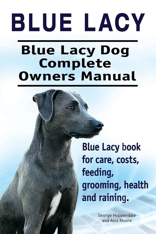 Produktbild: Blue Lacy. Blue Lacy Dog Complete Owners Manual. Blue Lacy book for care, costs, feeding, grooming, health and training.