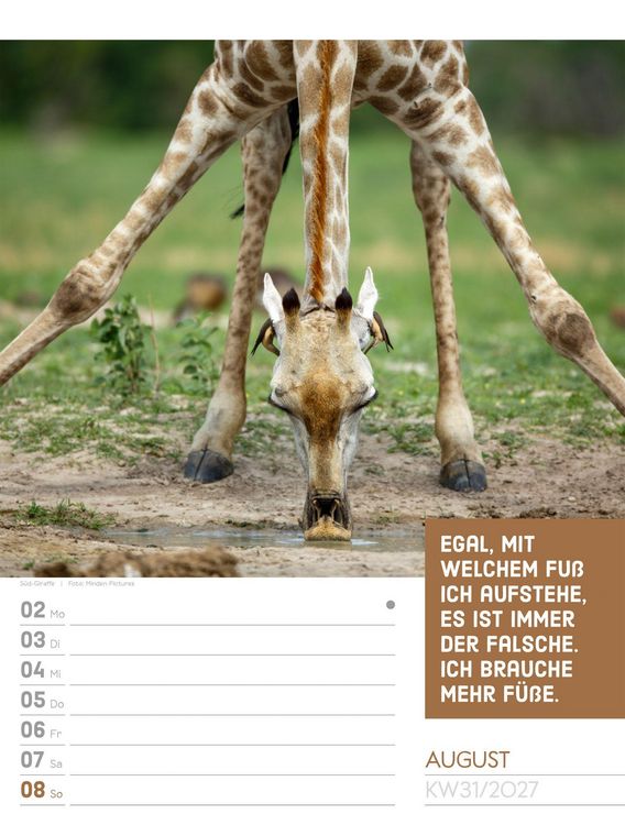Produktbild: Tierisch Spr&uuml;chekalender Wochenplaner 2027
