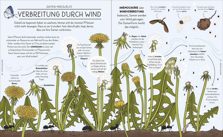 Der Natur-Erklärer