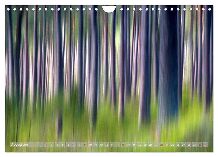 Produktbild: Atelier Wald - gemalt mit Licht (Wandkalender 2026 DIN A4 quer), CALVENDO Monatskalender