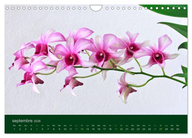 Produktbild: Les Orchid&eacute;es (Calendrier mural 2026 DIN A4 vertical), CALVENDO calendrier mensuel