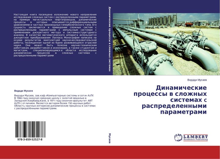 Produktbild: Dinamicheskie processy w slozhnyh sistemah c raspredelennymi parametrami