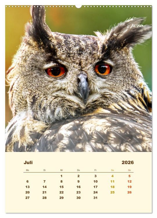 Produktbild: Uhu, die Faszination bernsteinfarbener Augen (Wandkalender 2026 DIN A2 hoch), CALVENDO Monatskalender