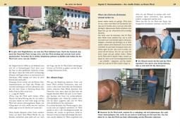 Produktbild: Be strict - im Sattel