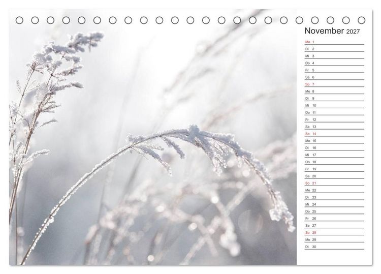 Produktbild: Blumenfreude Terminkalender (Tischkalender 2027 DIN A5 quer), CALVENDO Monatskalender