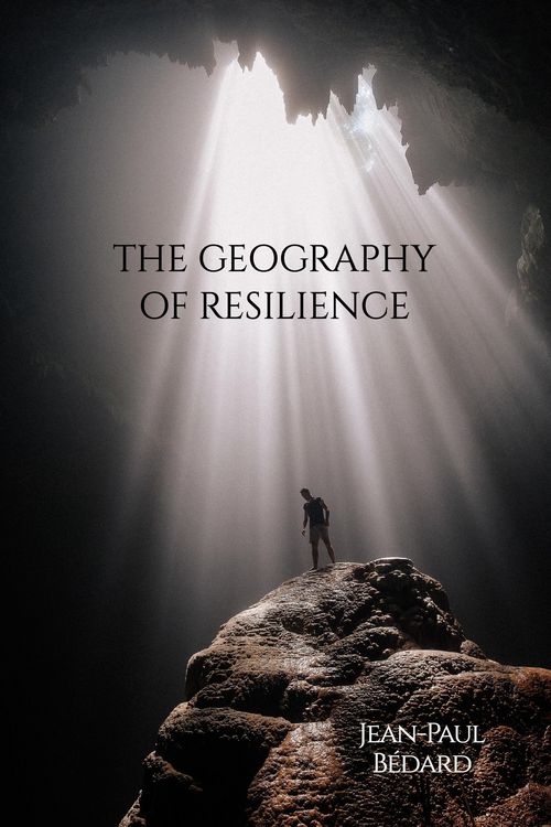 Produktbild: The Geography of Resilience