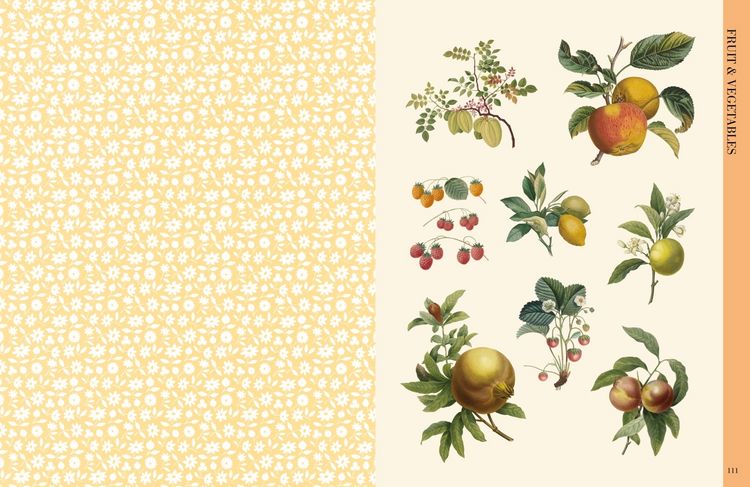Produktbild: Botanical Art to Cut out and Collage