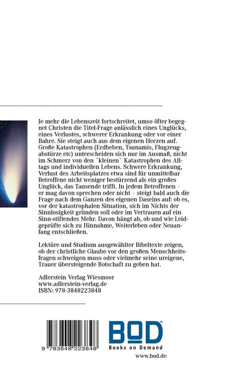 Produktbild: Begegnet Gott im Schicksal?