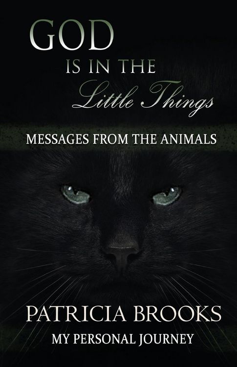 Produktbild: God is in the Little Things