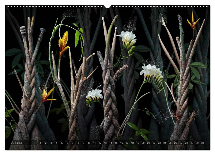 Produktbild: Musica fant&aacute;sia - Die wundersame Welt des Fotok&uuml;nstlers Olaf Bruhn (Wandkalender 2026 DIN A2 quer), CALVENDO Monatskalender