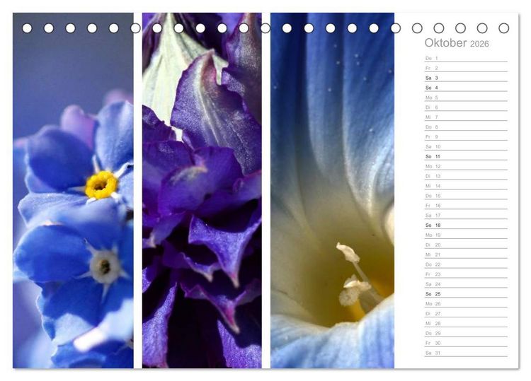 Produktbild: Nat&uuml;rlicher Dreiklang (Tischkalender 2026 DIN A5 quer), CALVENDO Monatskalender