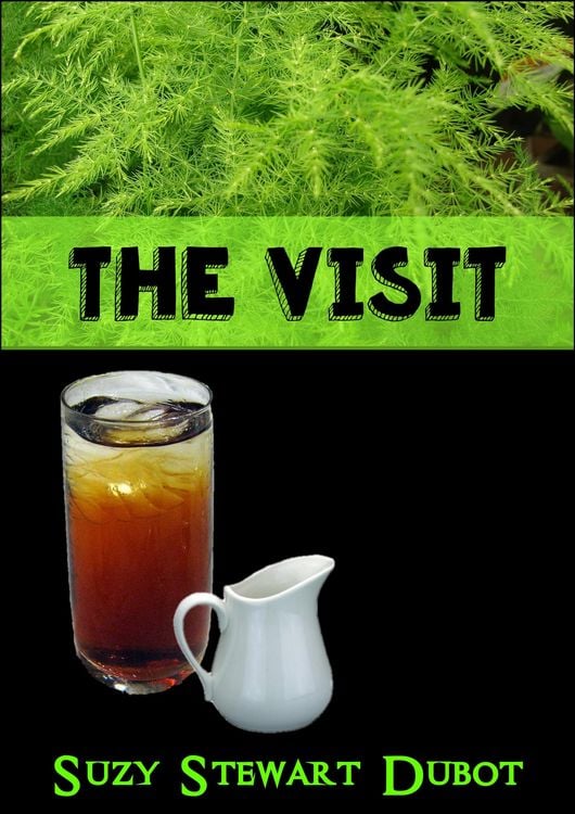 Produktbild: The Visit