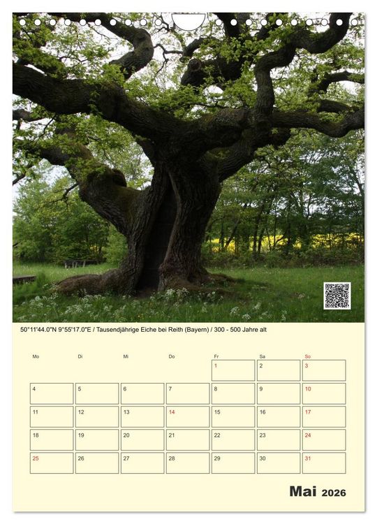Produktbild: Uralt - Mit QR-Code und GPS zu alten B&auml;umen (Wandkalender 2026 DIN A4 hoch), CALVENDO Monatskalender