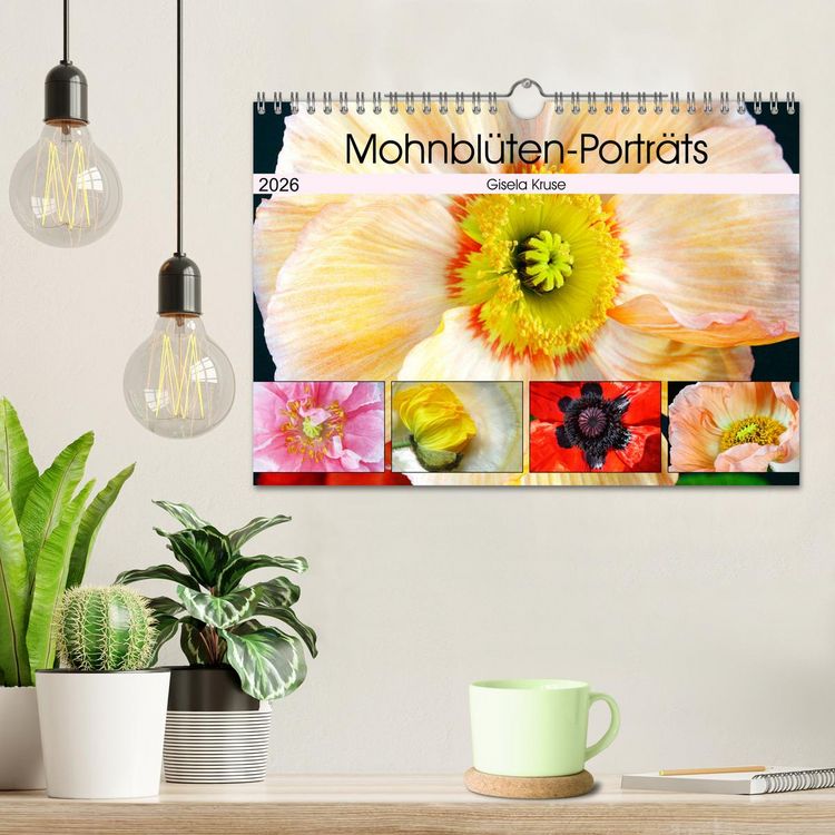 Produktbild: Mohnbl&uuml;ten-Portr&auml;ts (Wandkalender 2026 DIN A4 quer), CALVENDO Monatskalender
