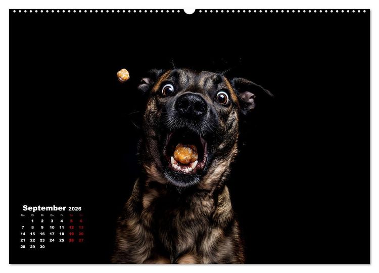 Produktbild: Leckerchen! (Wandkalender 2026 DIN A2 quer), CALVENDO Monatskalender
