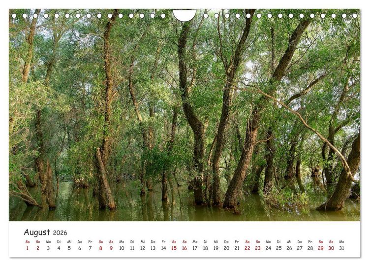 Produktbild: Donau-Delta (Wandkalender 2026 DIN A4 quer), CALVENDO Monatskalender