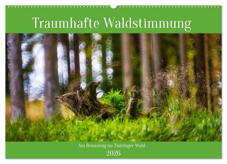 Produktbild: Traumhafte Waldstimmung am Rennsteig im Th&uuml;ringer Wald (Wandkalender 2026 DIN A2 quer), CALVENDO Monatskalender