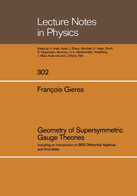Produktbild: Geometry of Supersymmetric Gauge Theories