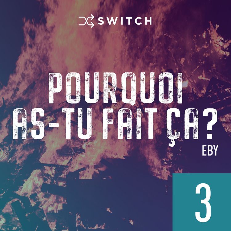 Produktbild: Pourquoi as-tu fait &ccedil;a 3
