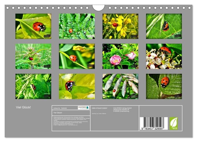 Produktbild: Viel Gl&uuml;ck! (Wandkalender 2026 DIN A4 quer), CALVENDO Monatskalender