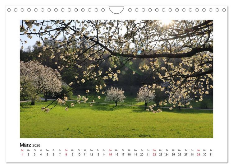 Produktbild: Kirschbl&uuml;te rund um Witzenhausen (Wandkalender 2026 DIN A4 quer), CALVENDO Monatskalender