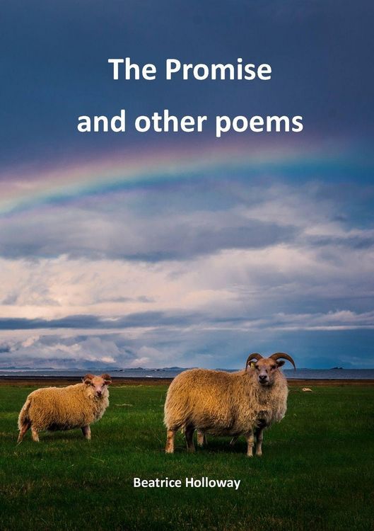 Produktbild: The Promise and Other Poems
