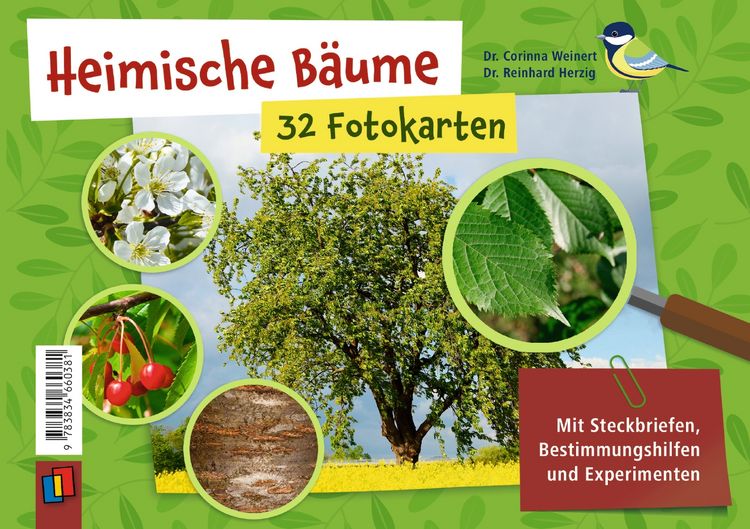 Produktbild: Heimische B&auml;ume &ndash; 32 Fotokarten