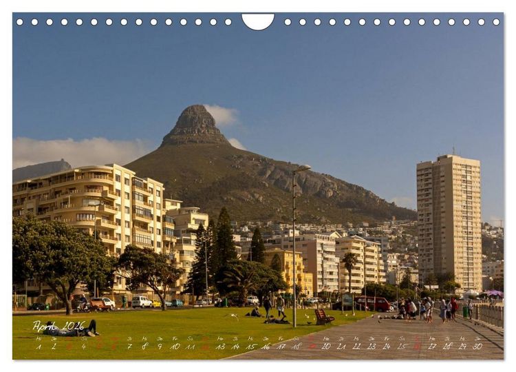 Produktbild: Am Kap von S&uuml;dafrika (Wandkalender 2026 DIN A4 quer), CALVENDO Monatskalender