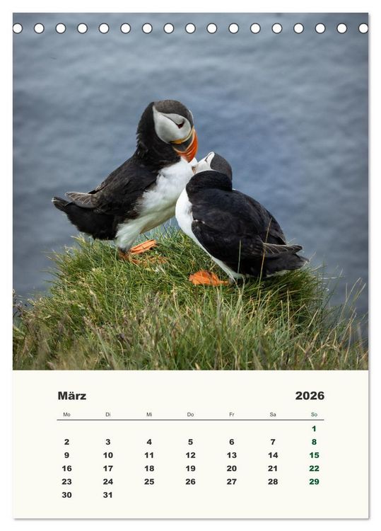 Produktbild: Papageientaucher in Island (Tischkalender 2026 DIN A5 hoch), CALVENDO Monatskalender