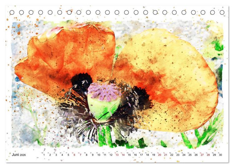 Produktbild: Mohnbl&uuml;ten in Aquarell (Tischkalender 2026 DIN A5 quer), CALVENDO Monatskalender